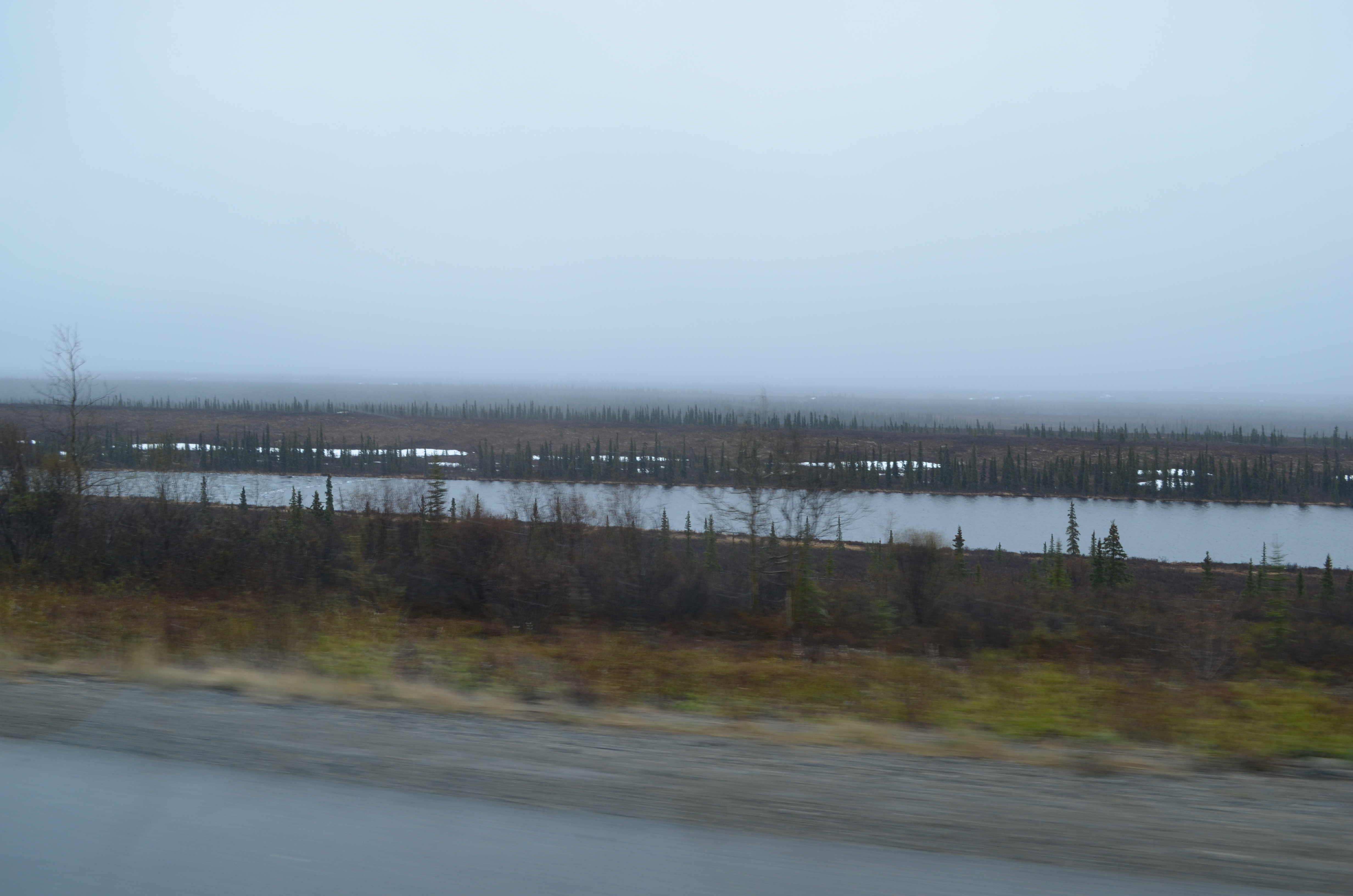 ./2017/08 - Alaska Cruise/03 - Denali/DSC_0099.JPG